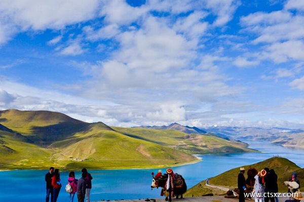 羊卓雍錯旅行團找誰報名