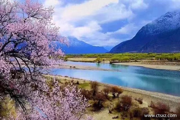 林芝桃花什么時候開的最好